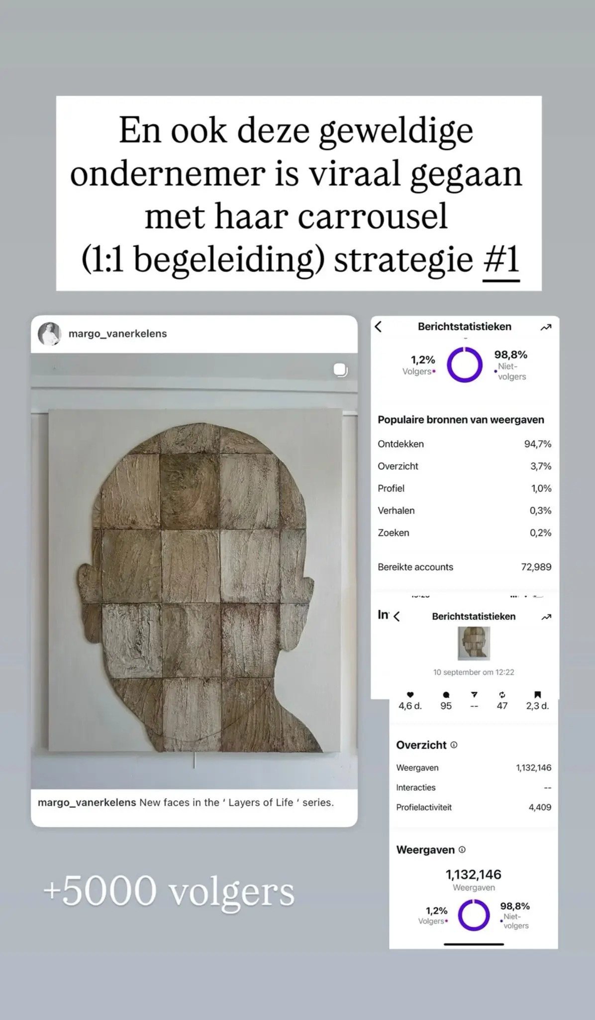 Review 32 - Instagram groei met strategie